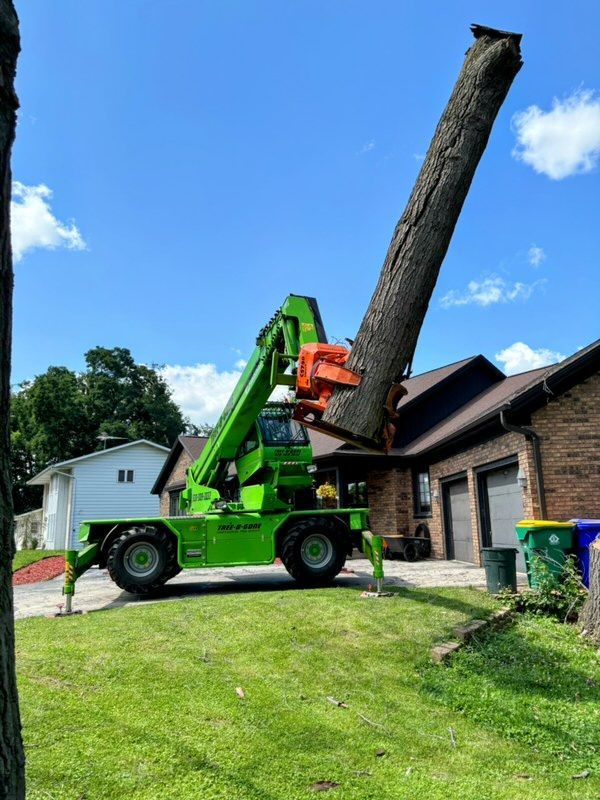 Green tree-cutting machine holding a large tree trunk near a house. Machine and tree are against a blue sky, on green grass.