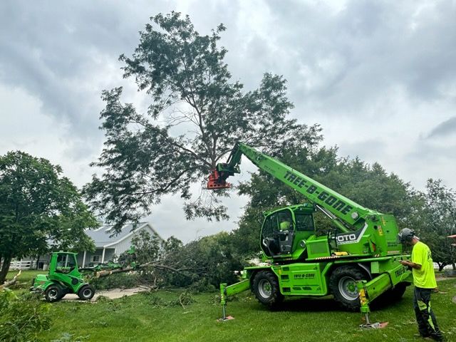 A green tree removal machine cuts branches from a large tree in a yard; another smaller machine sits nearby. The sky is overcast.