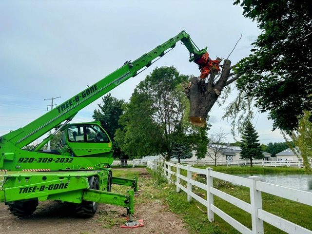 A green Tree-B-Gone machine is removing a tree branch. A lake, white fence, and houses are in the background.