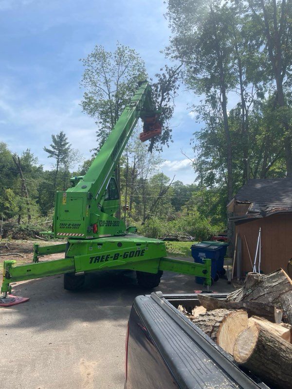 A green Tree-E-6000 machine with an extended arm is cutting tree branches near a house. A truck bed is loaded with cut logs.