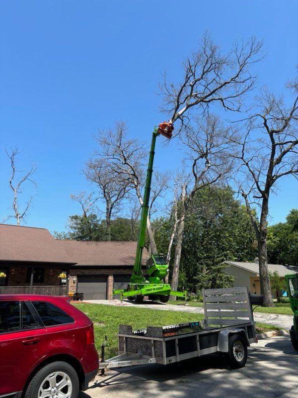 A tree trimming service uses a green lift to remove dead branches from a tall tree in front of a house. A red SUV and trailer are parked nearby.