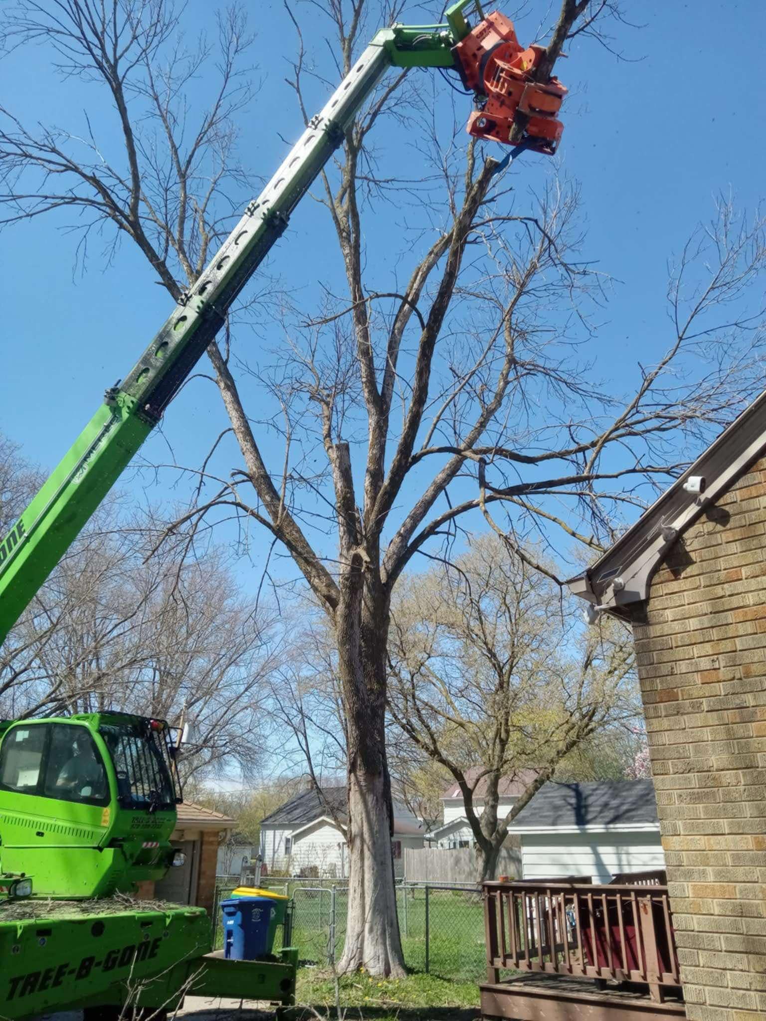 A tall tree being trimmed by a green lift with an orange cutting head, next to a brick house and a wooden deck.