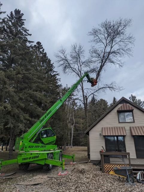 Green tree-trimming boom lift reaching a tree next to a small beige house, cloudy sky background. A worker is in the lift basket.
