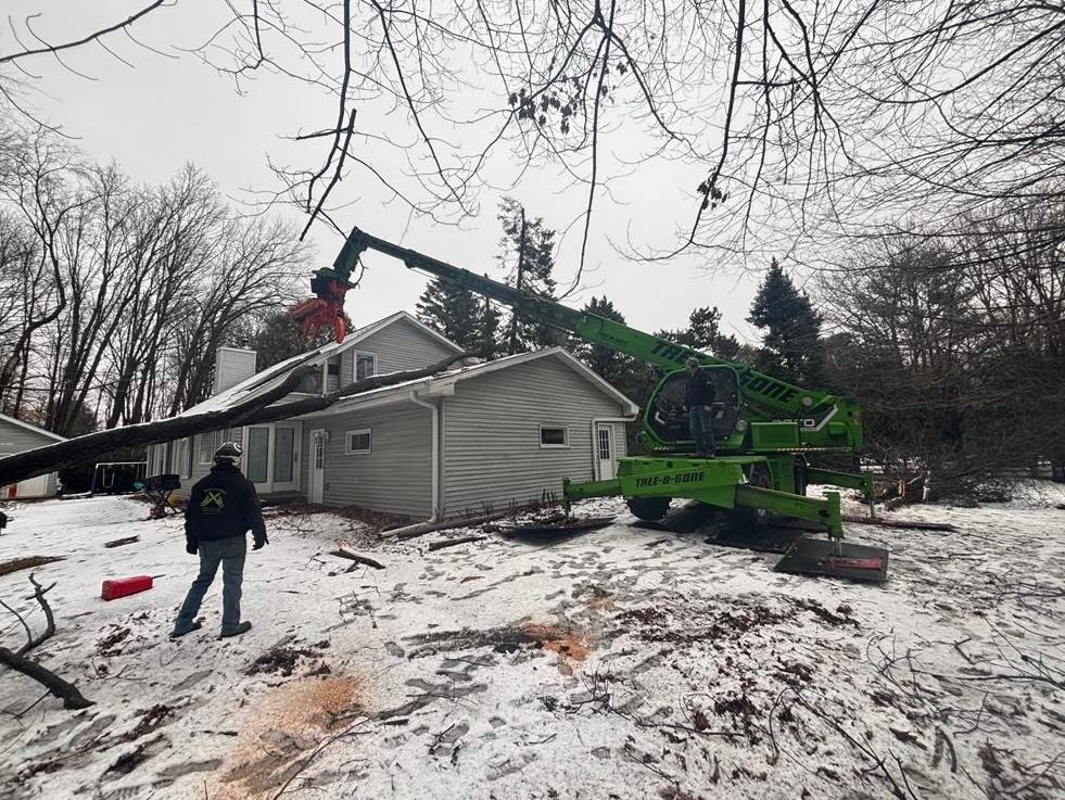 A tree service removes a large tree branch from a roof in a snowy yard. A worker watches near the house; a crane is in use.