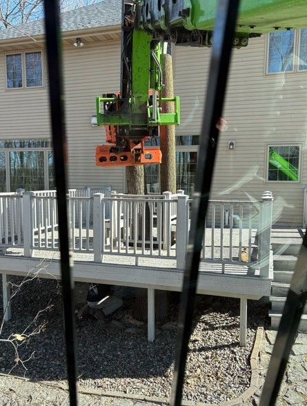 Crane with an orange and green cutting tool removing a tree next to a deck and house. The view is from inside a window.