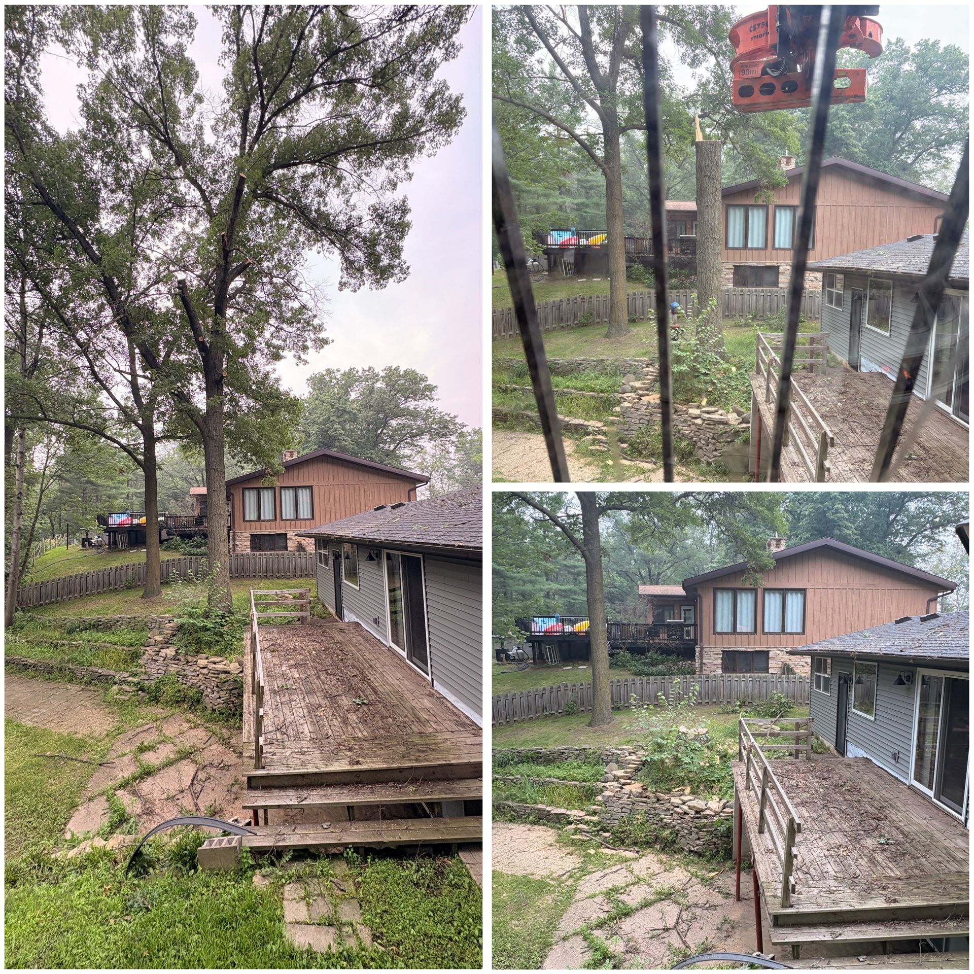 A split image shows a house with tree work in progress. A lift is positioned near the house, with tree branches and debris visible.