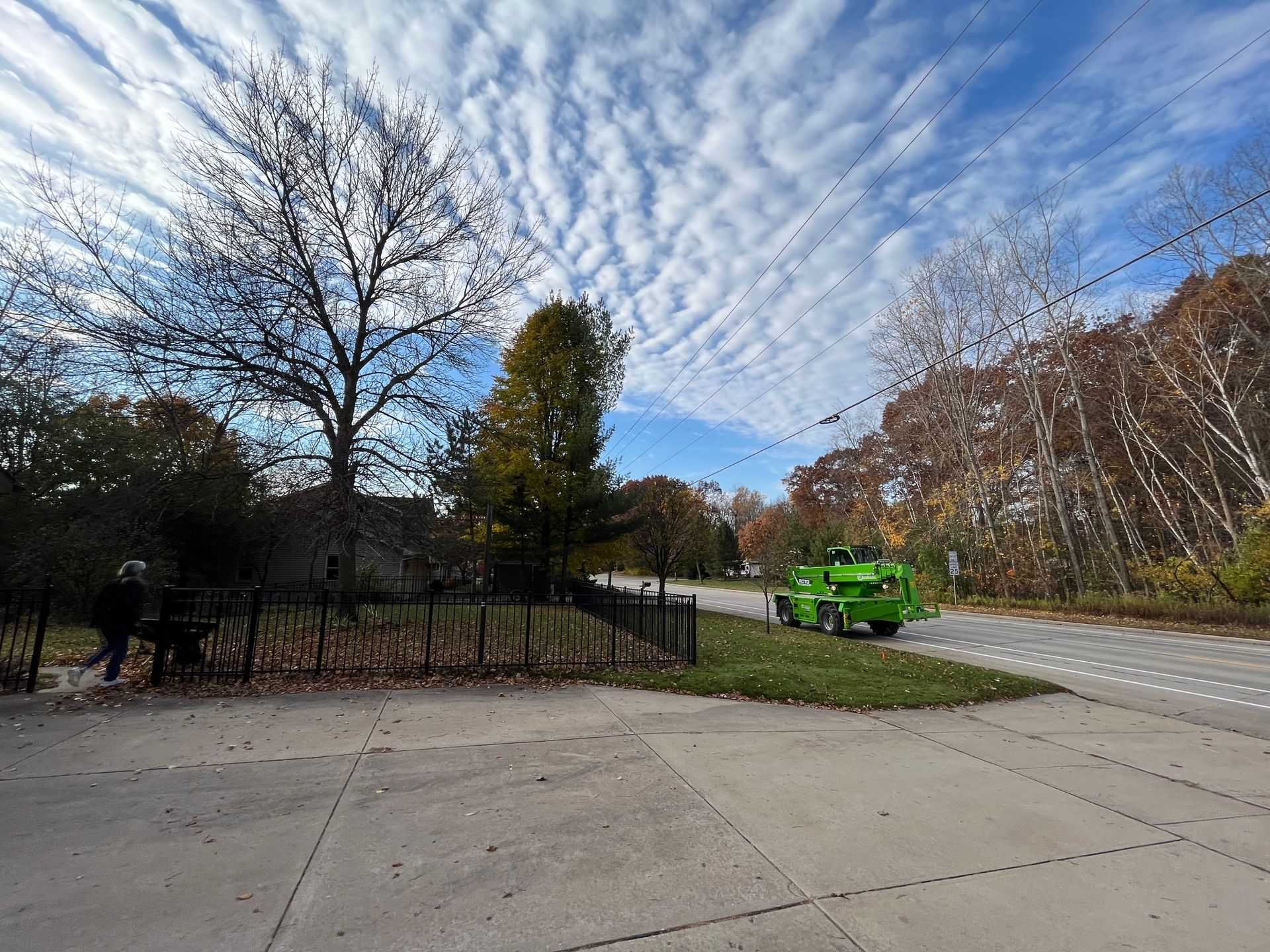 Tree B Gone of Green Bay Works