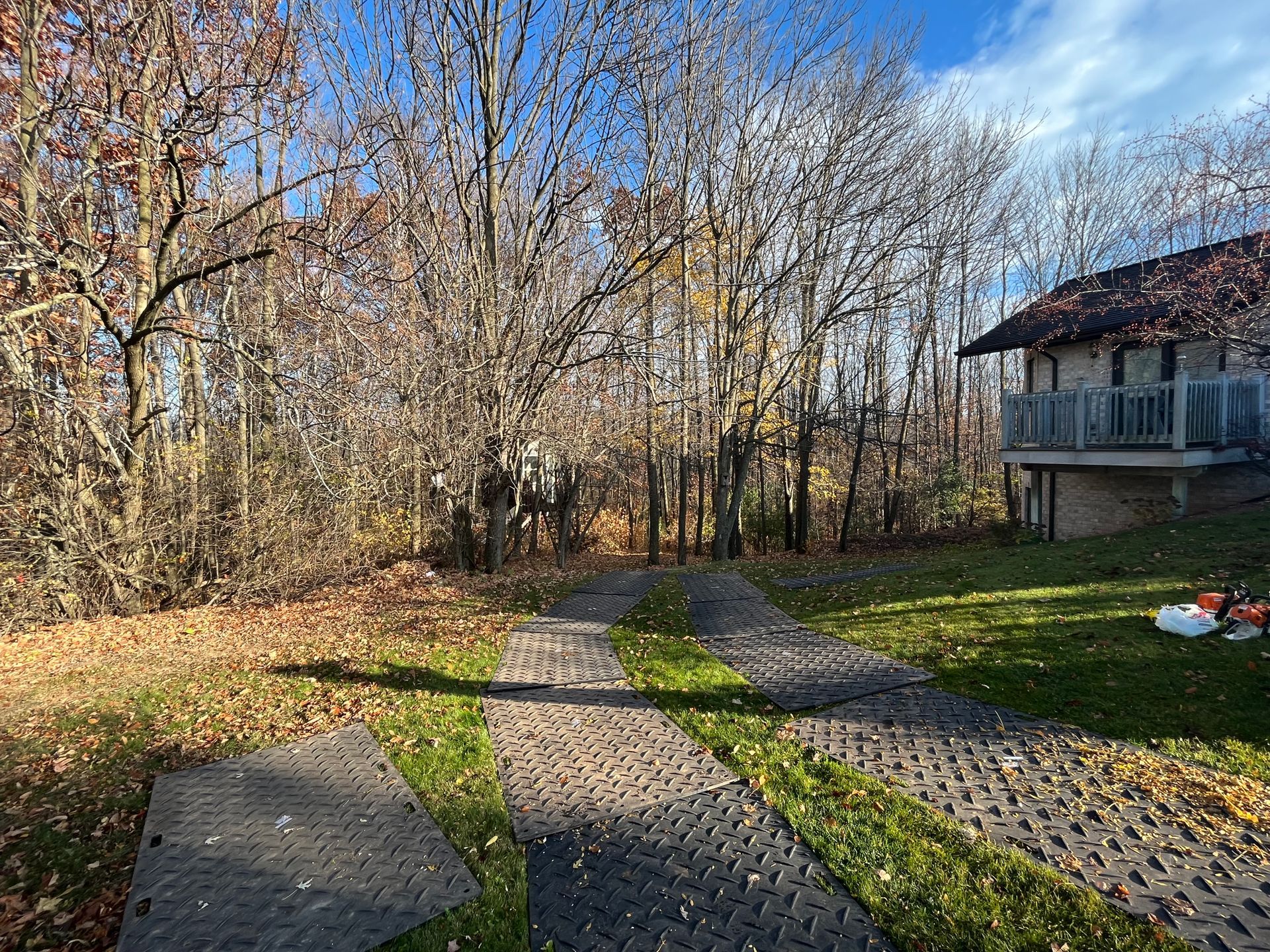 Tree B Gone of Green Bay Works