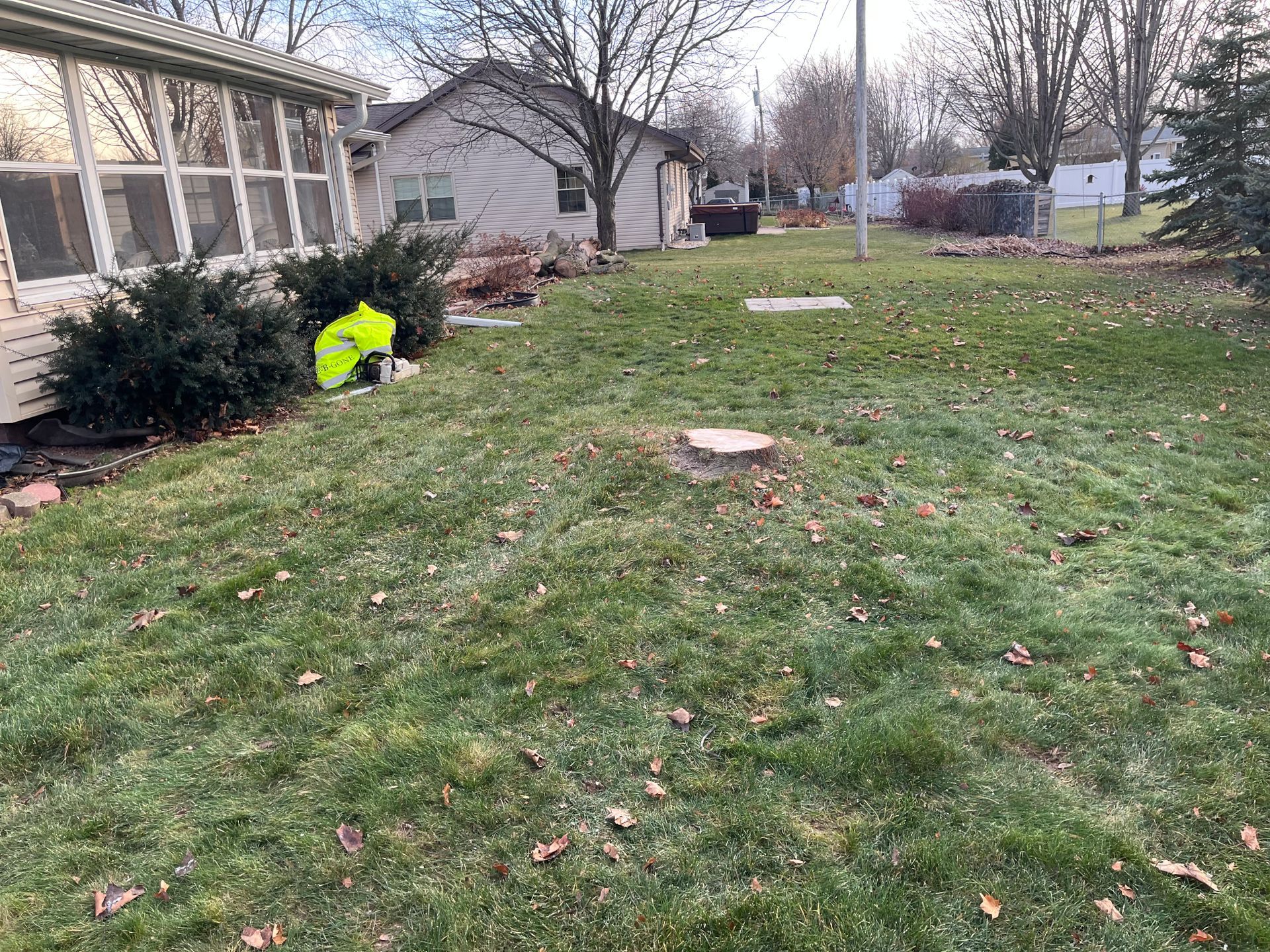 Tree B Gone of Green Bay Works