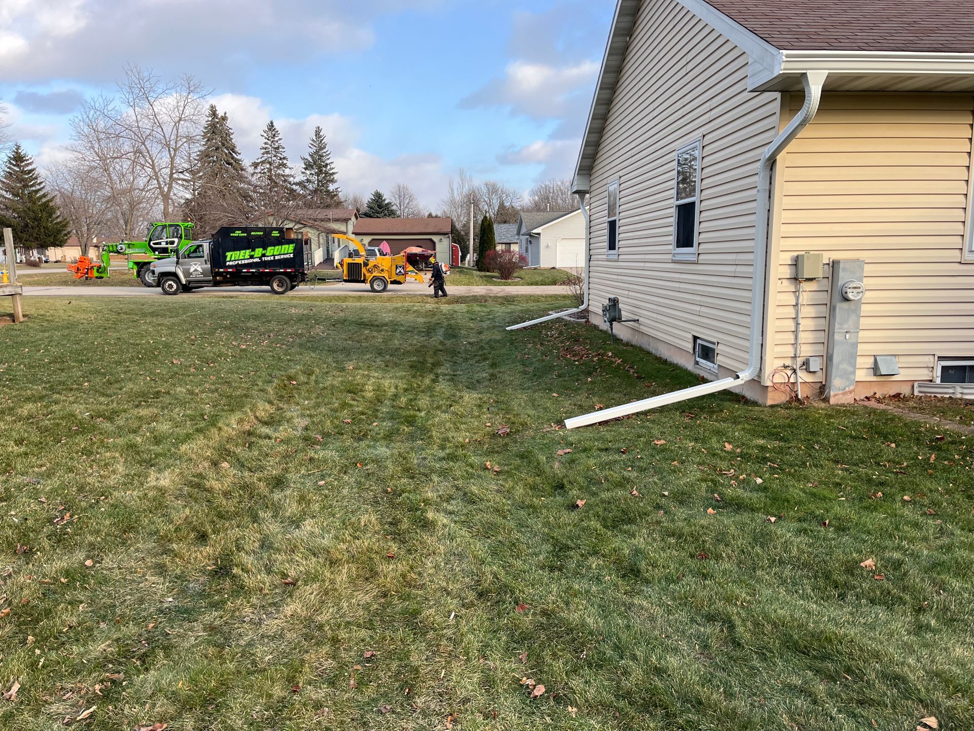 Tree B Gone of Green Bay Works