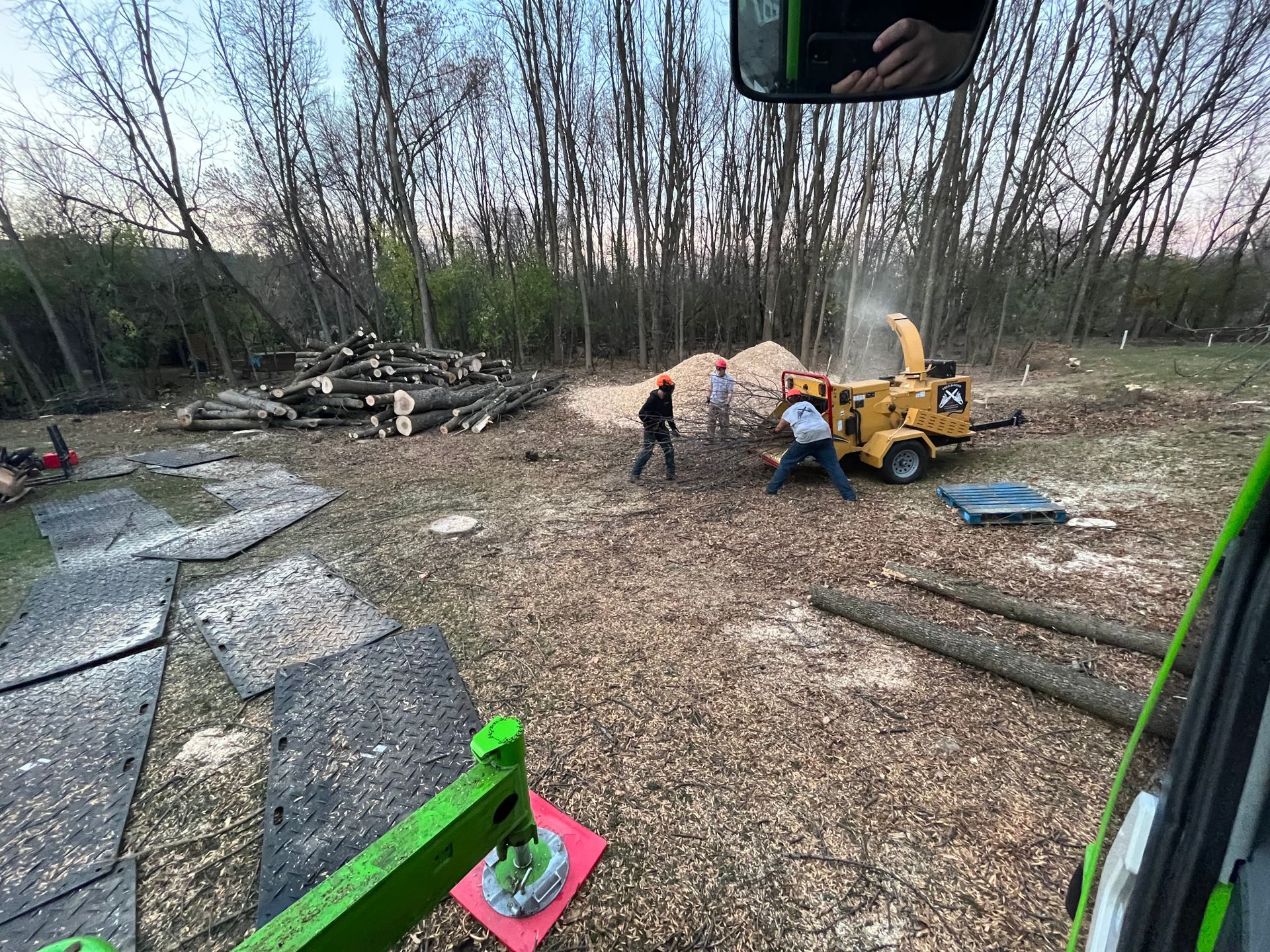 Tree B Gone of Green Bay Works