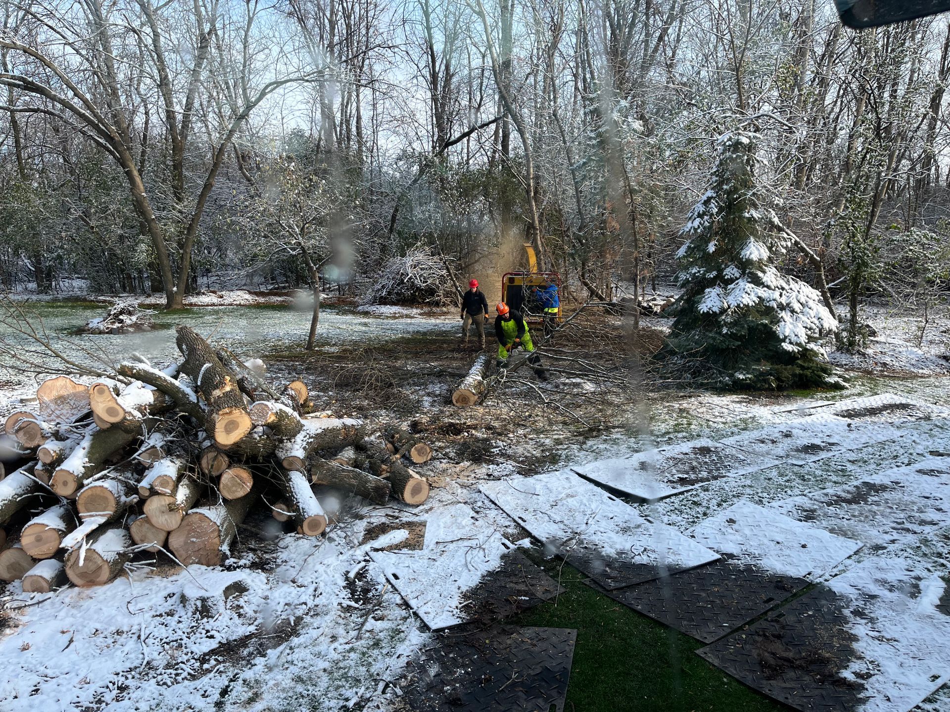 A snowy landscape with tree cutters. Logs are piled in the foreground while workers in orange and yellow safety gear work on a fallen tree.