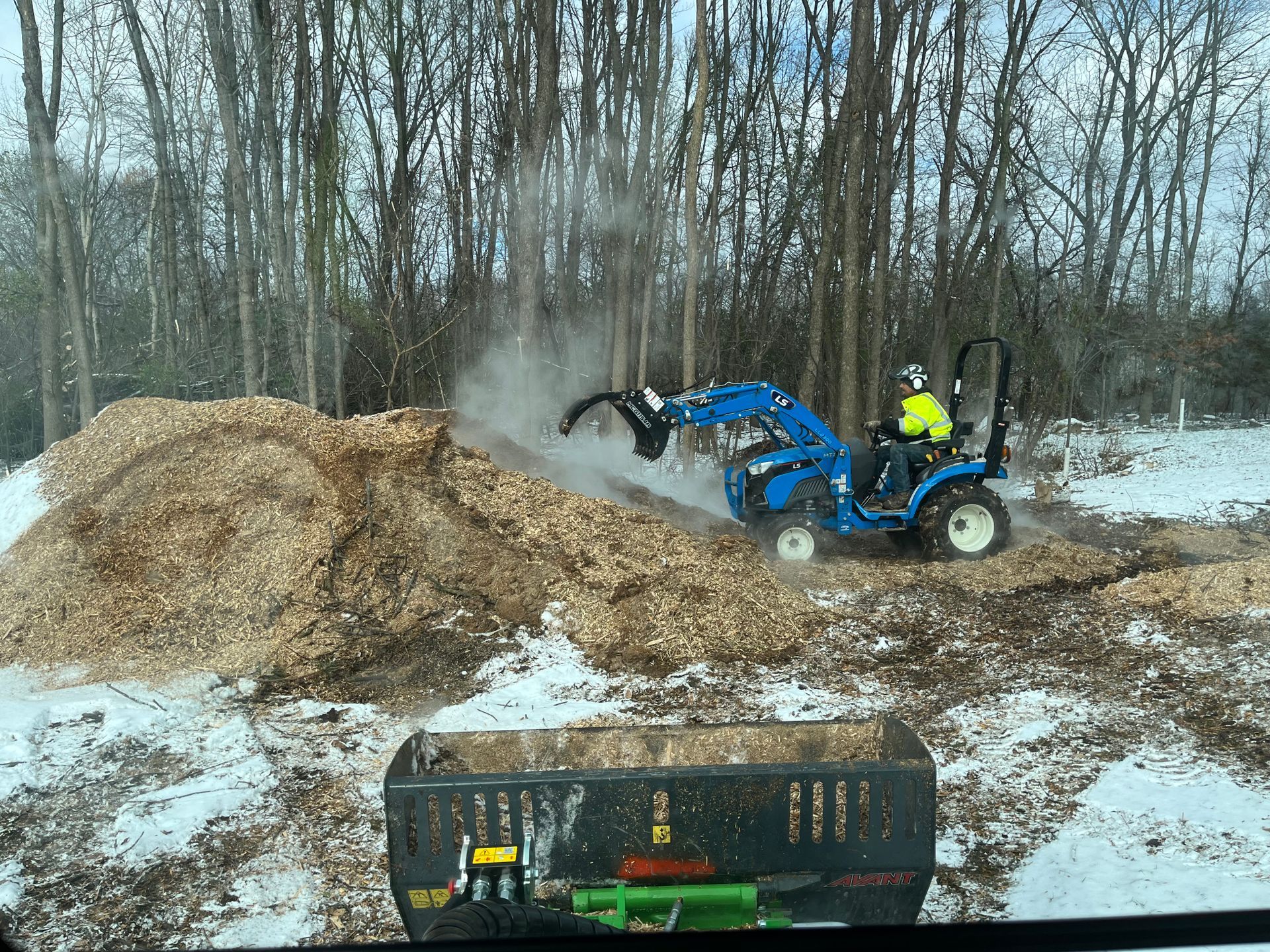 Tree B Gone of Green Bay Works