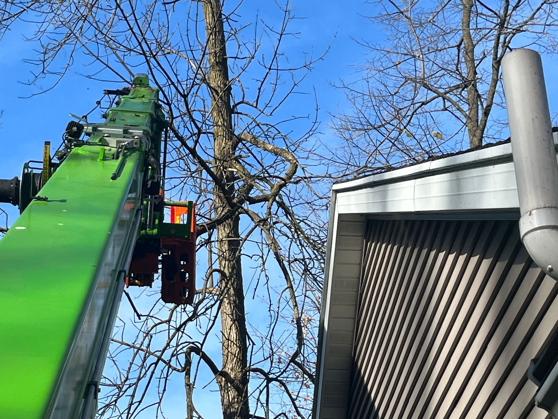 Tree B Gone of Green Bay Works