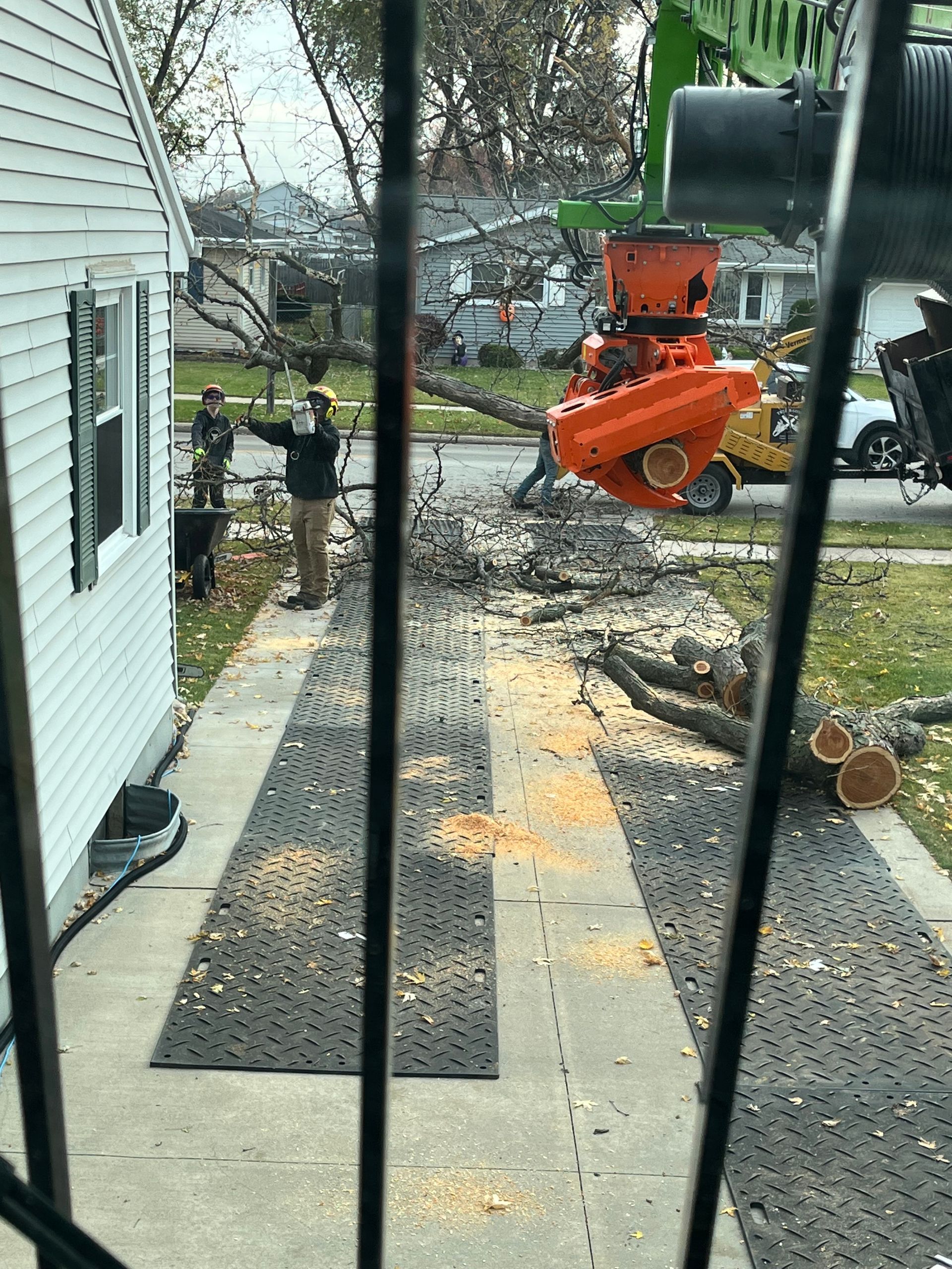 Tree service in progress. Workers wearing hard hats remove branches using a large machine on a residential driveway.