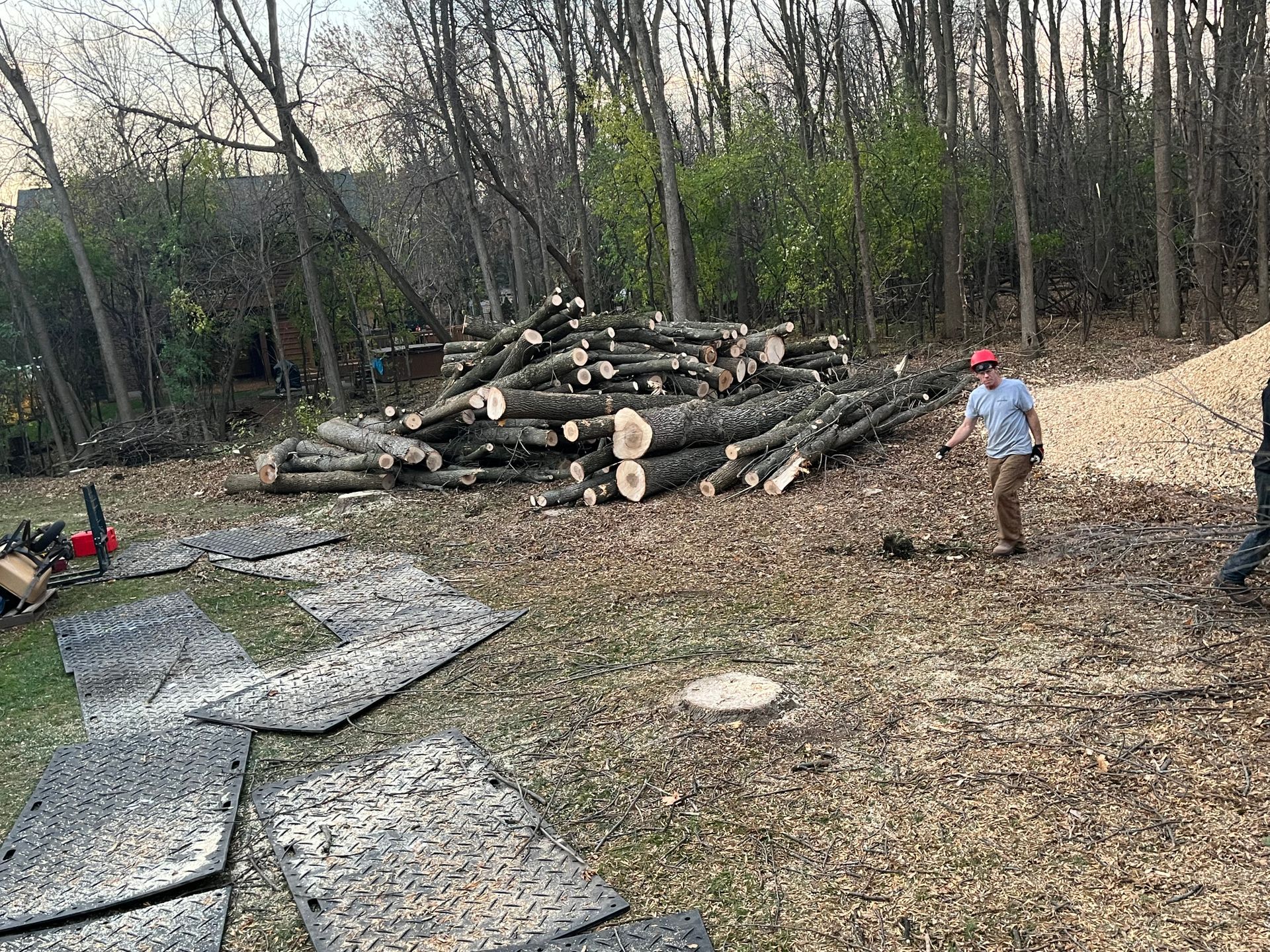 A person in a red hat and another person stand near a pile of cut logs and wood chips in a wooded backyard.
