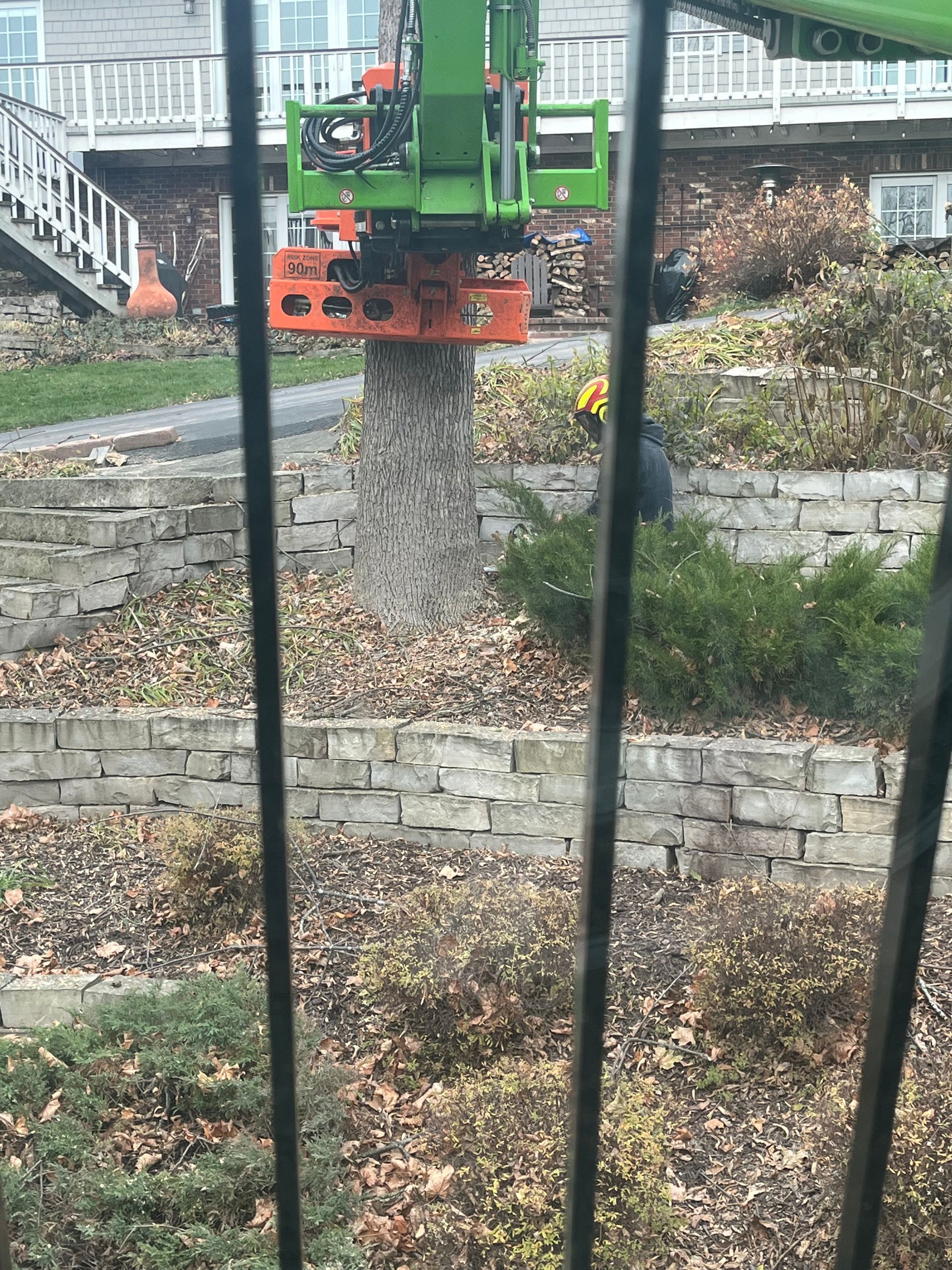 Tree B Gone of Green Bay Works