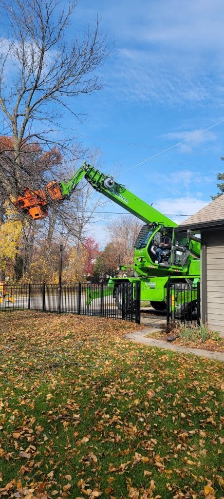 A green tree trimming machine is working on a tree in a yard covered with fallen leaves. The sky is blue.