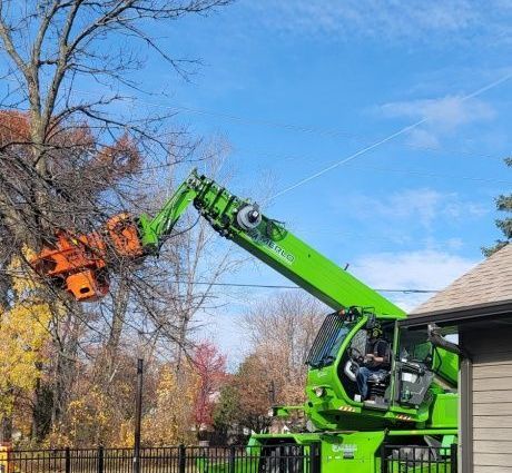 A green tree trimmer machine trims branches on a leafless tree near a house with a blue sky background.