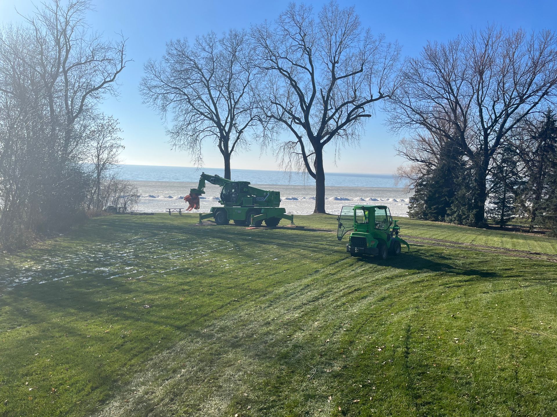 Tree B Gone of Green Bay Works