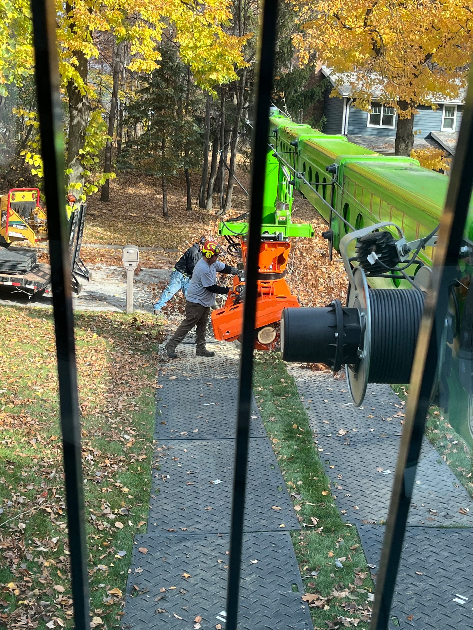 Tree B Gone of Green Bay Works