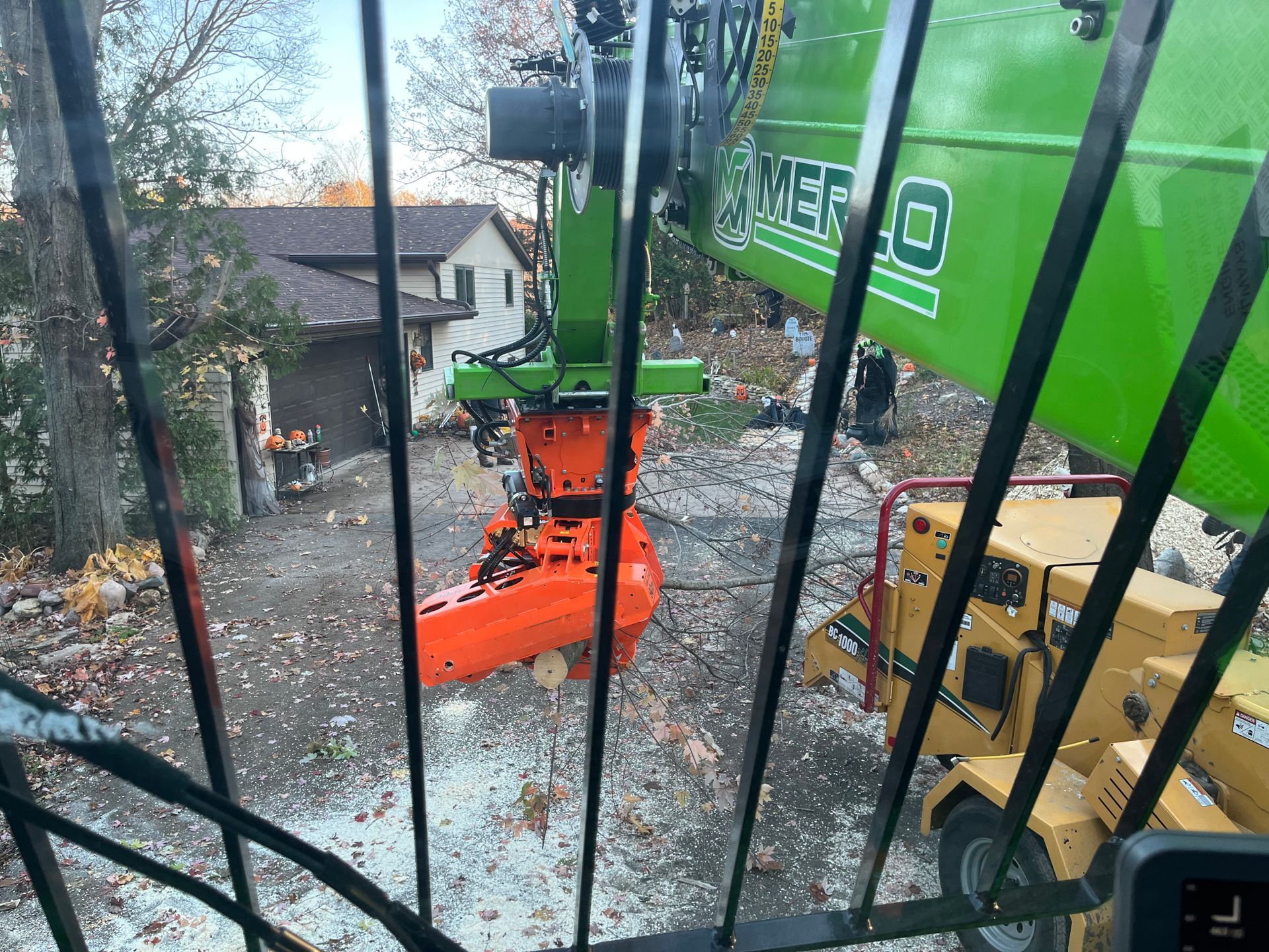 Tree B Gone of Green Bay Works