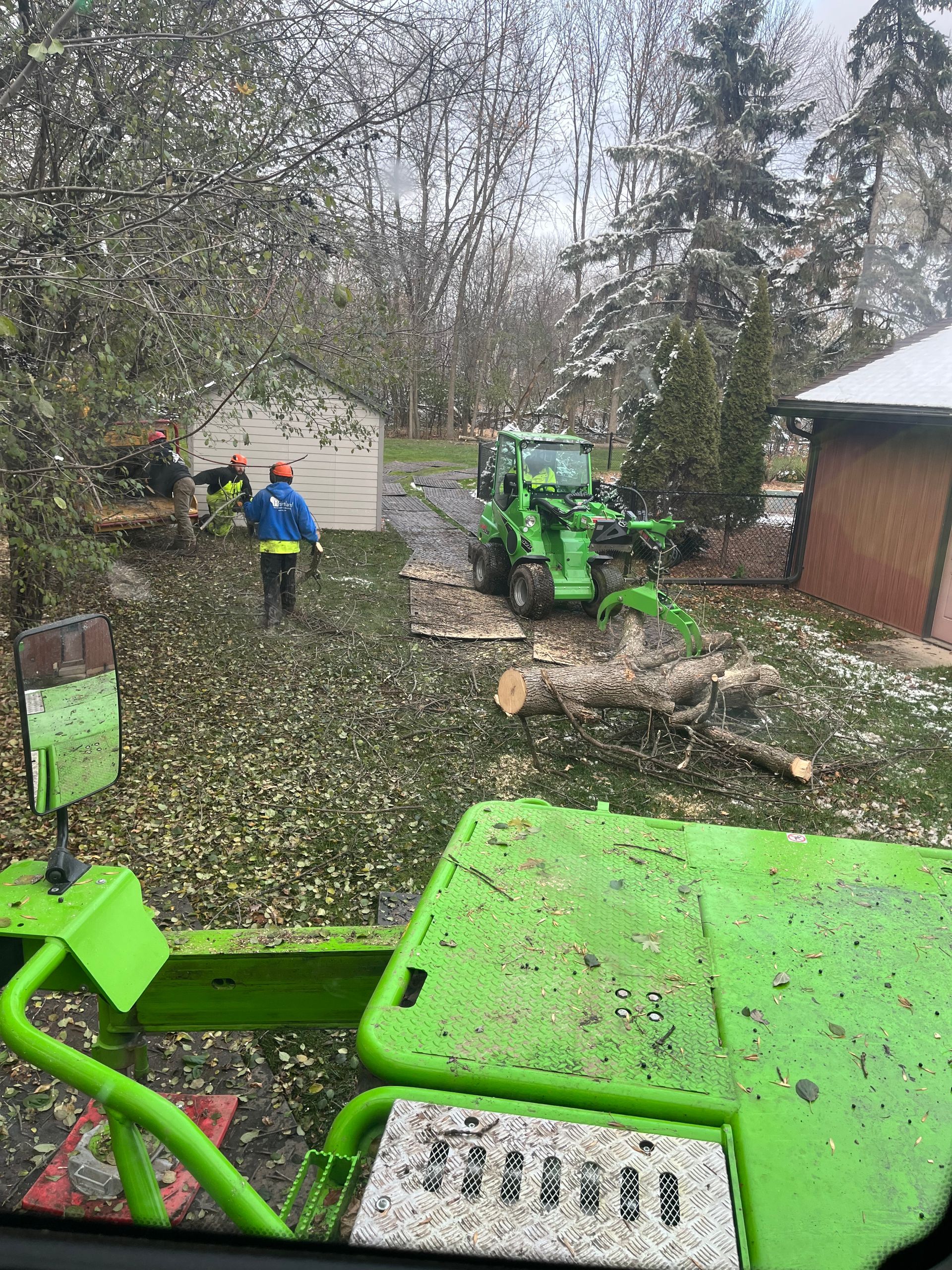 Tree B Gone of Green Bay Works