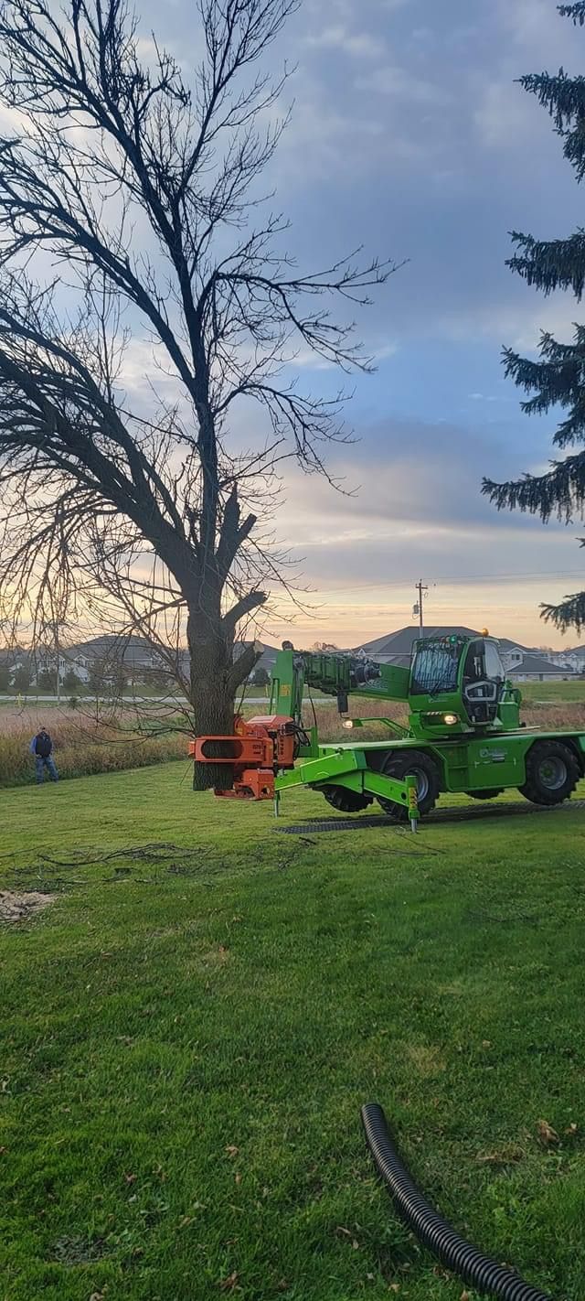 Tree B Gone of Green Bay Works