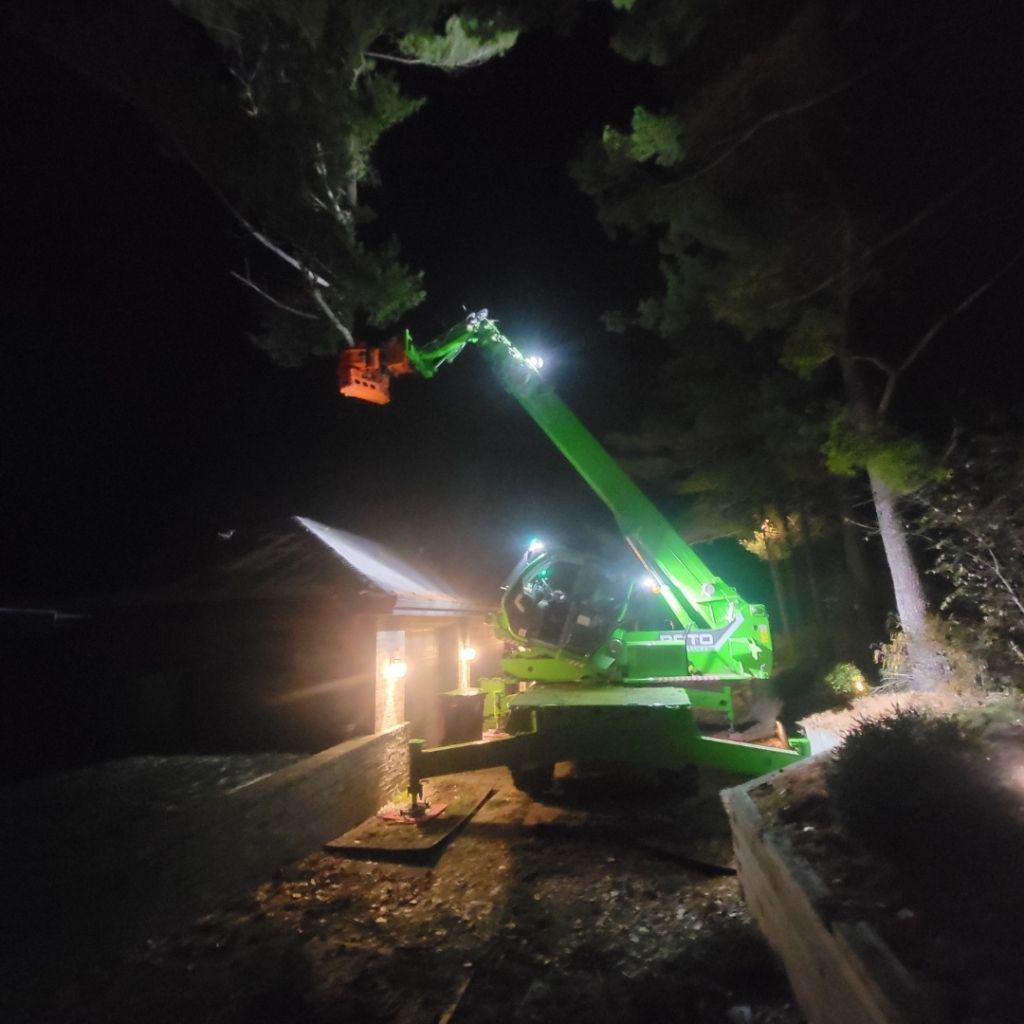 Tree B Gone of Green Bay Works