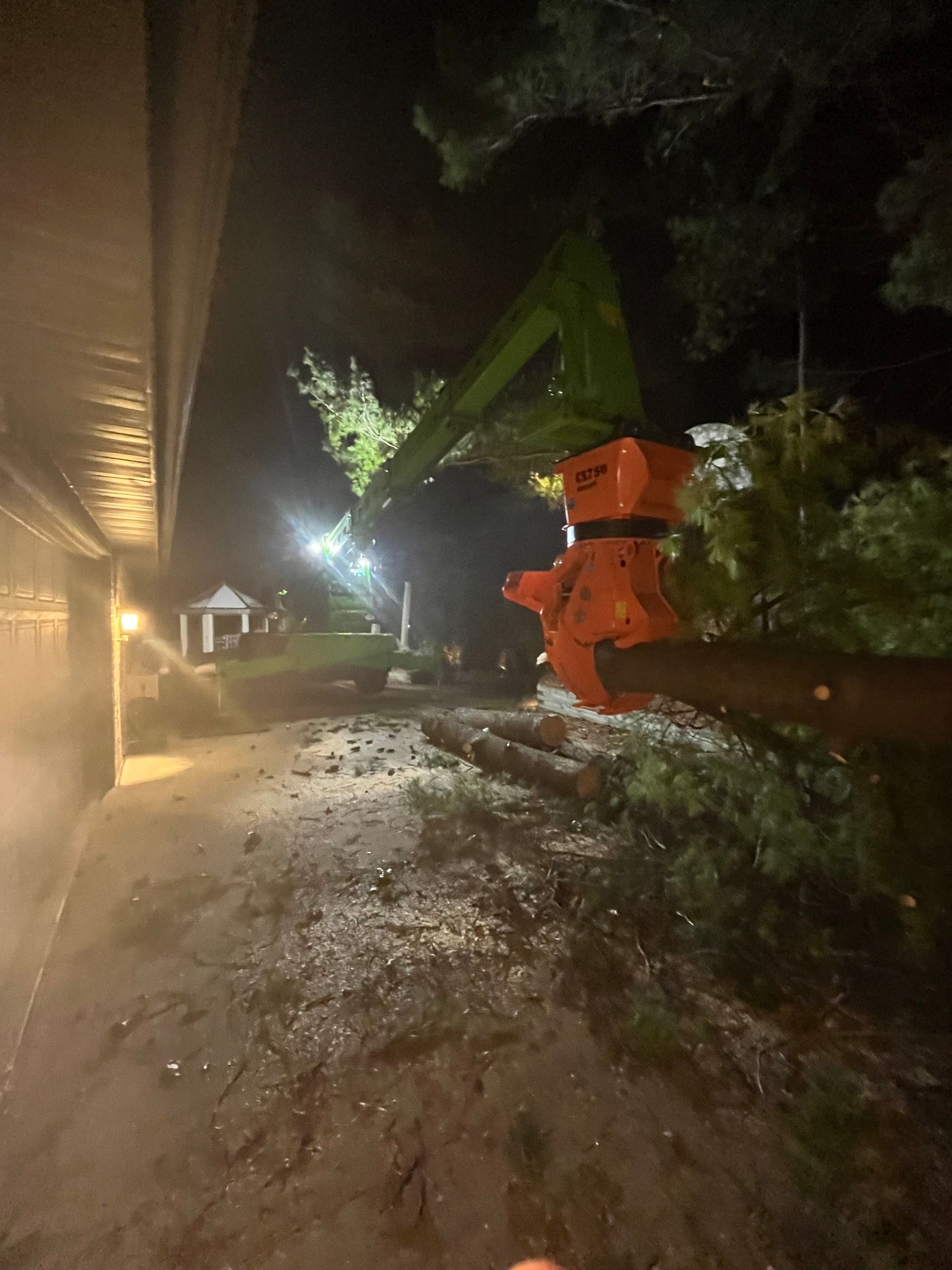 Tree B Gone of Green Bay Works