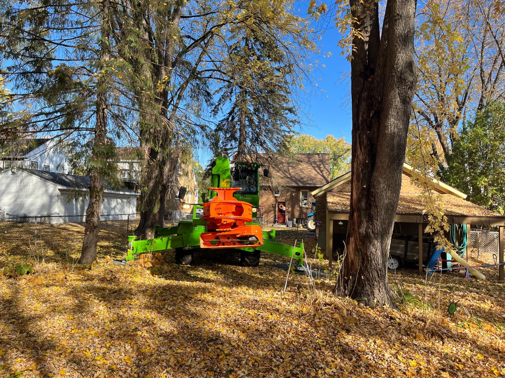 Tree B Gone of Green Bay Works