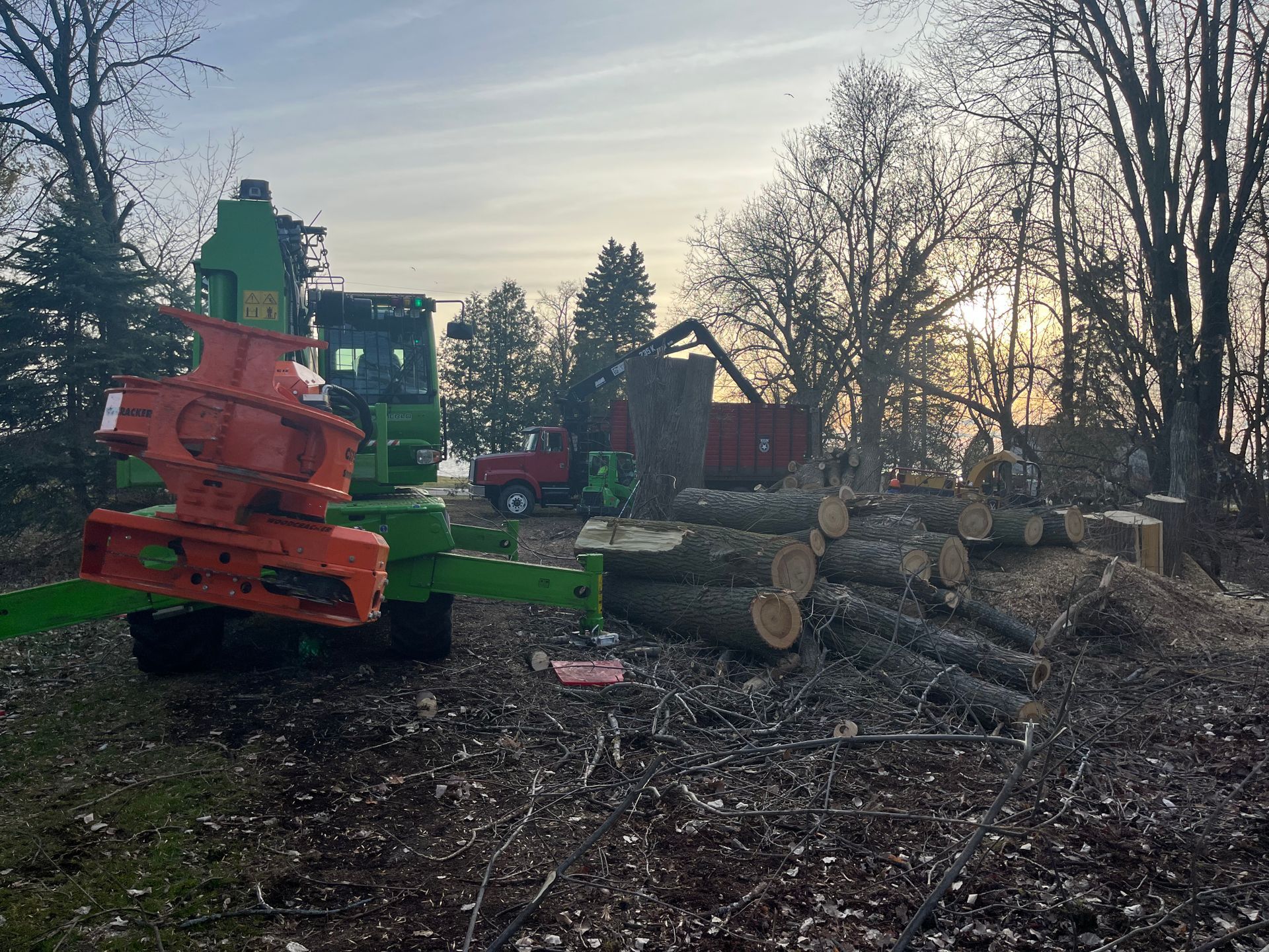Tree B Gone of Green Bay Works