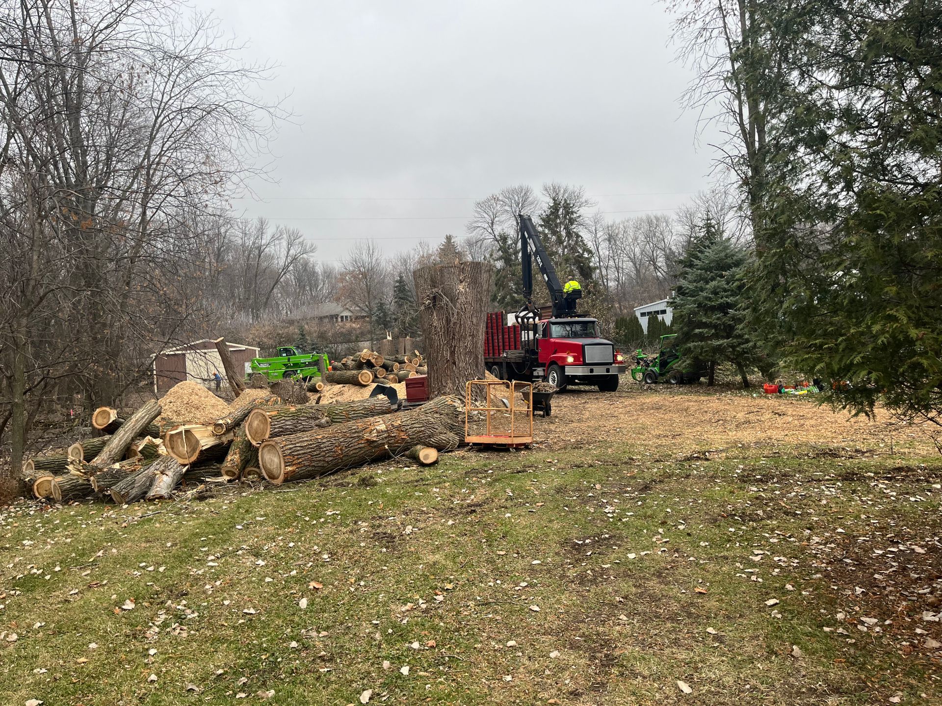 Emergency Tree Removal |Tree Removal Near Me | Green Bay, WI