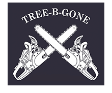 Tree B Gone of Green Bay logo