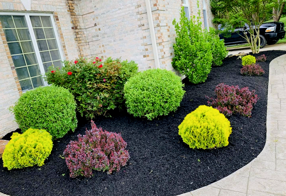 Oscar Landscaping & Construction