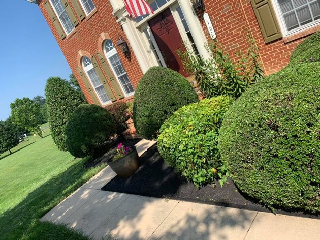 Oscar Landscaping & Construction