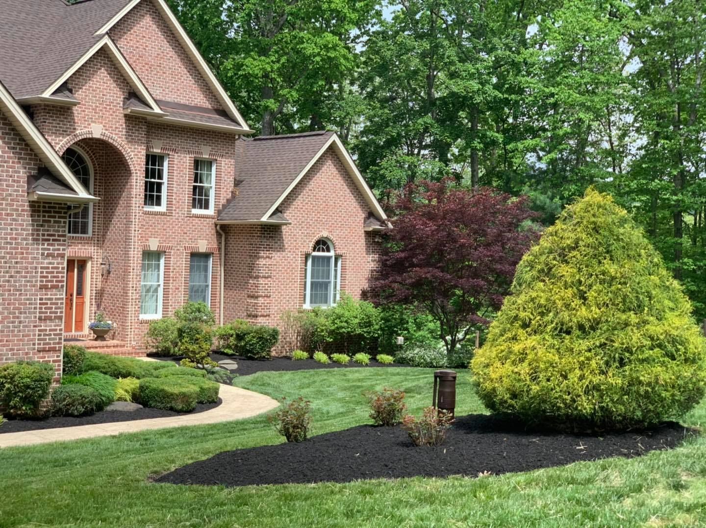 Brick house with manicured front yard, green lawn, shrubs, and a yellow-green ornamental tree