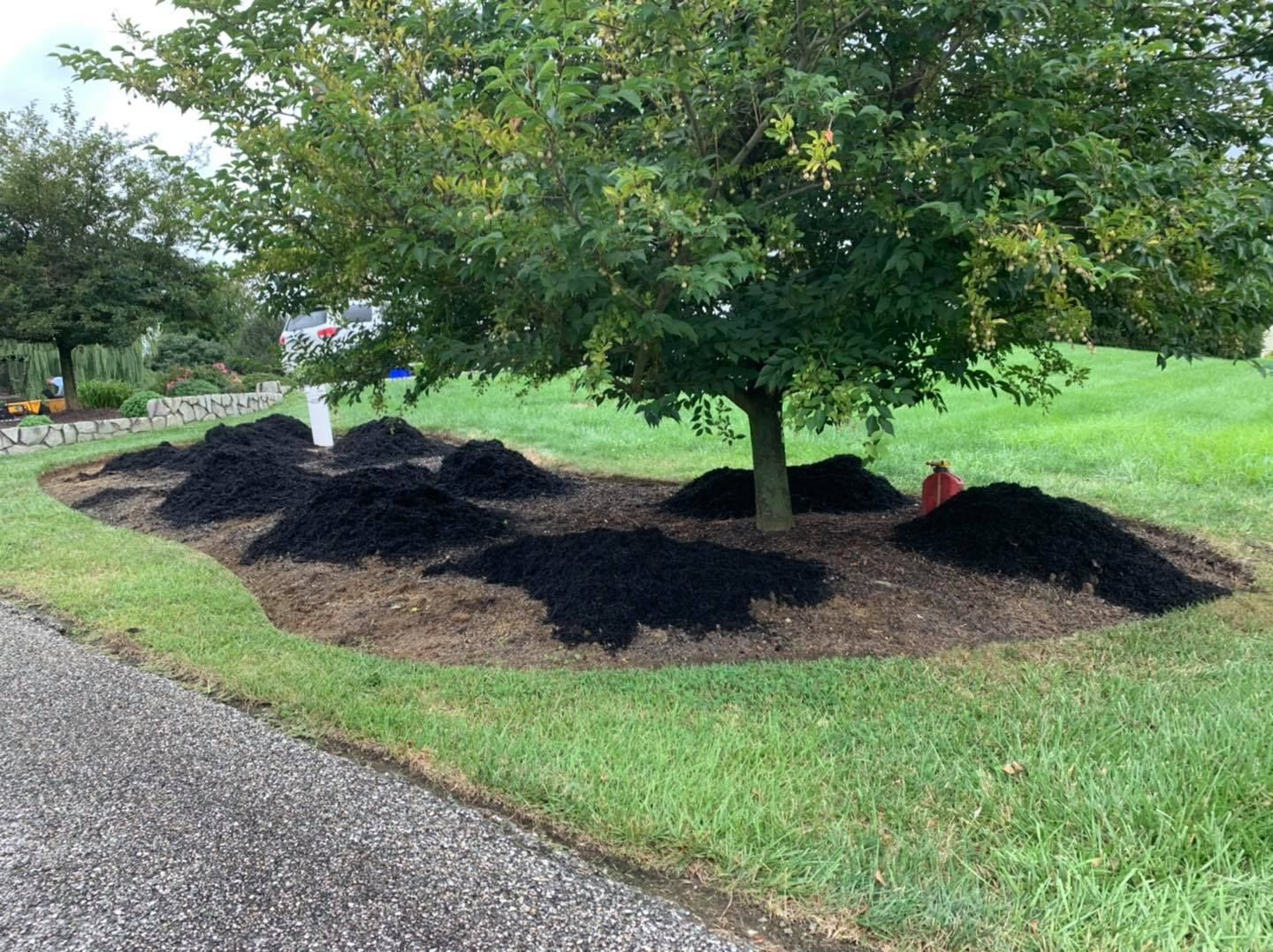 Fresh black mulch piles around a tree in a grassy park beside a paved path