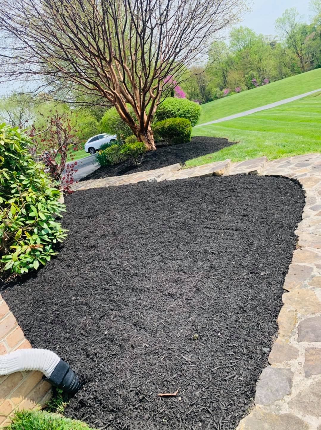 Freshly mulched garden bed beside a stone path and green lawn with trees in the background
