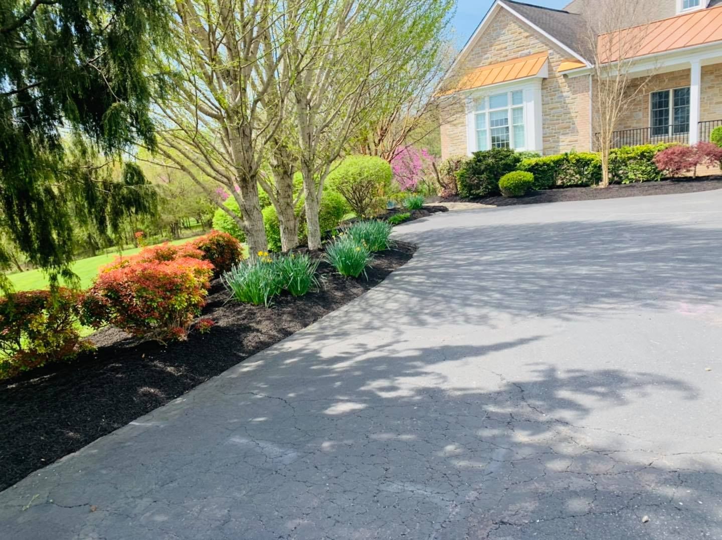 Curved driveway beside landscaped shrubs and trees leading to a brick house on a sunny day