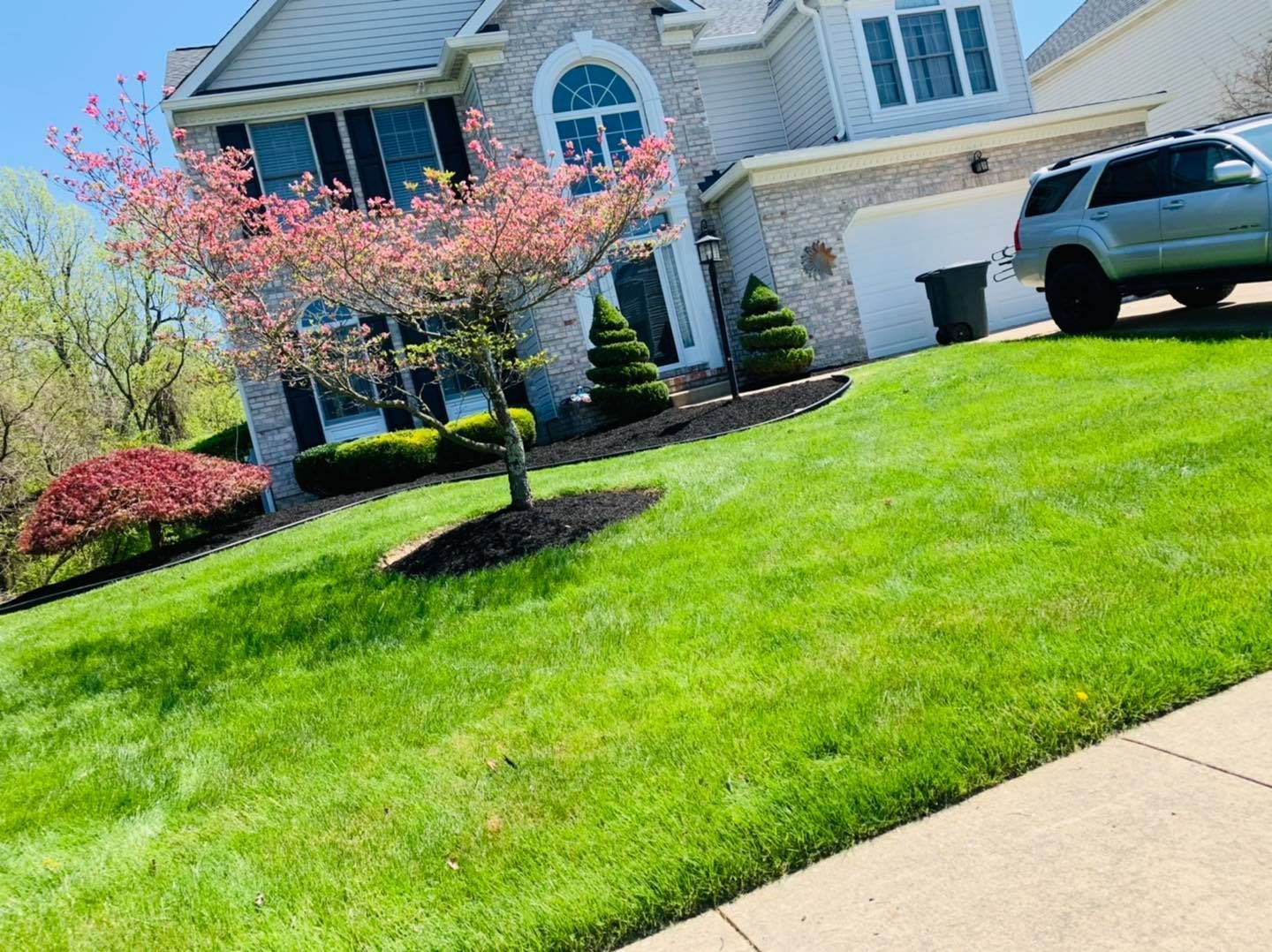 Suburban house with a pink flowering tree, green lawn, and a black SUV in the driveway