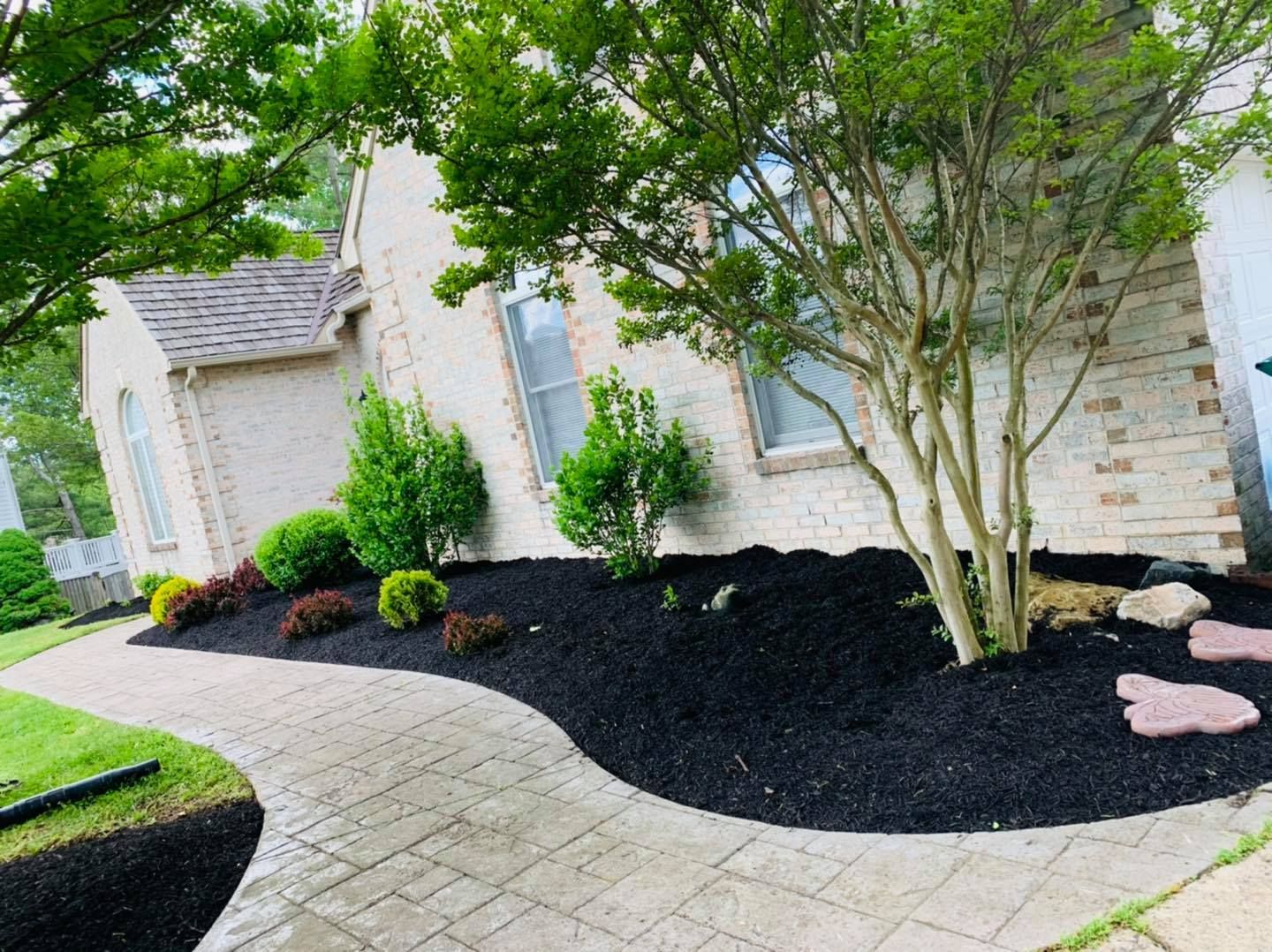 Landscaped front yard with black mulch, shrubs, trees, and a curved stone walkway beside a house