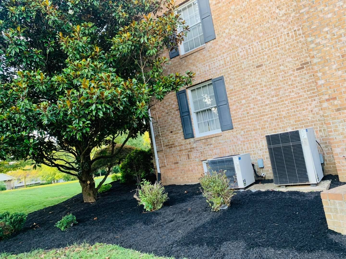 Brick building exterior with a tree, shrubs, and two HVAC units on black mulch.
