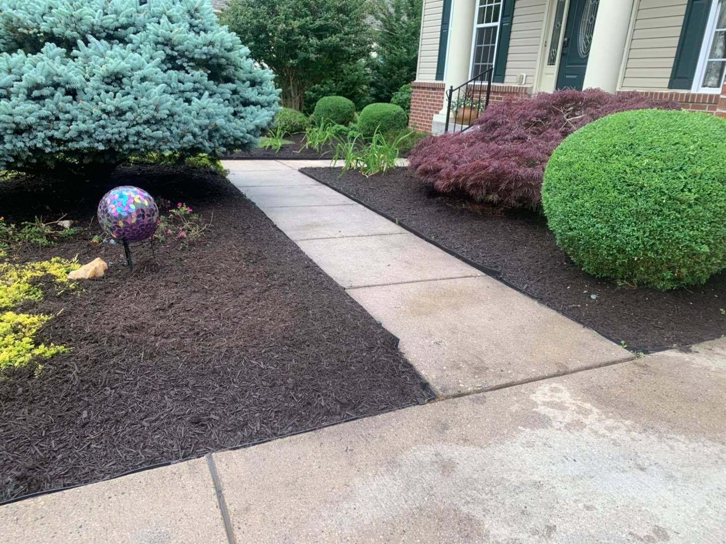 Front walkway with landscaped shrubs and a decorative garden orb beside a house
