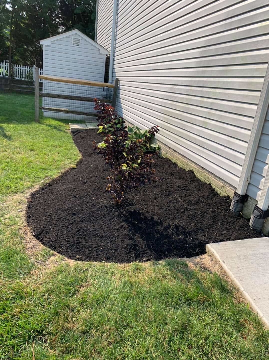 Mulched garden bed with small shrub beside a beige house and grassy lawn