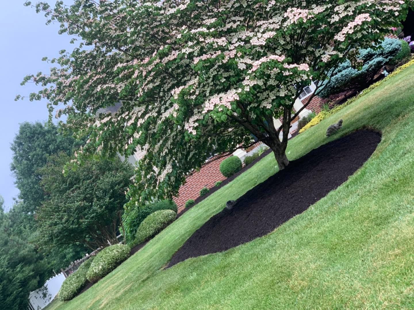 Sloped grassy hillside with trees, a red brick path, and a dark mulch bed under flowering branches