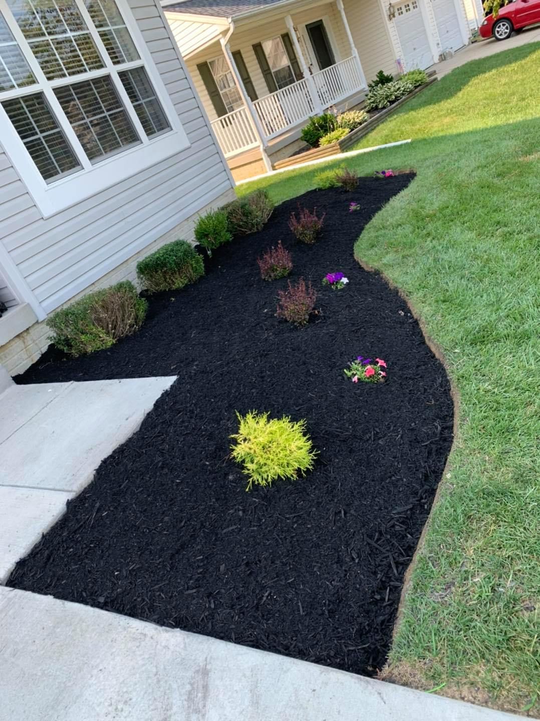 Front walkway beside a house with a curved black mulch flower bed and small colorful plants.