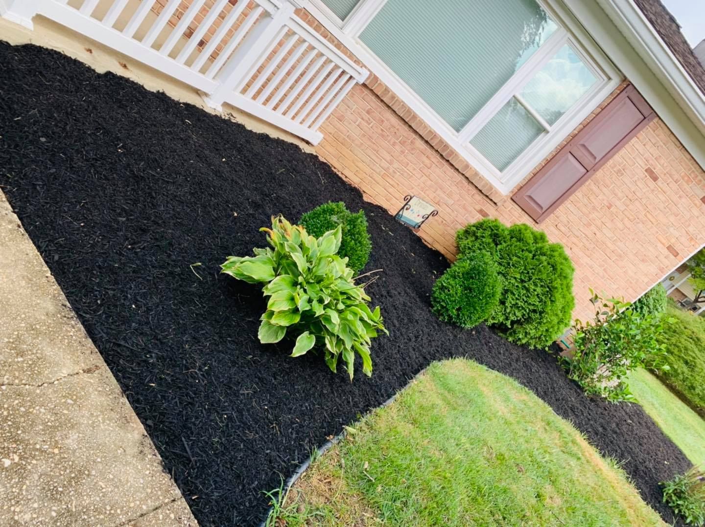 Landscaped front yard with black mulch, green shrubs, and a brick house exterior.