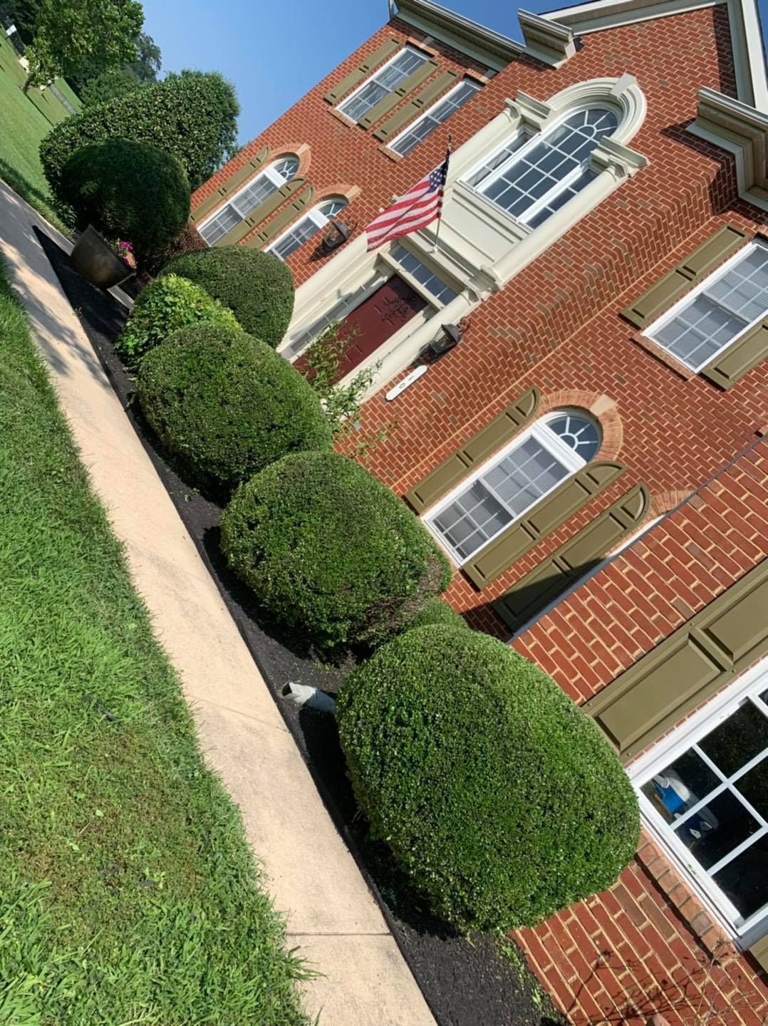 Brick house with white trim, arched windows, and neatly trimmed round shrubs along a sidewalk.