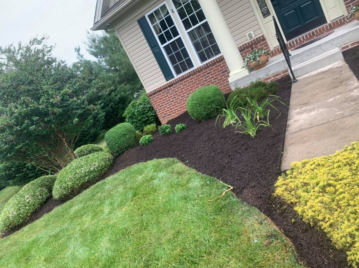 Front yard with trimmed shrubs, mulch bed, and concrete walkway beside a brick house